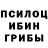 Псилоцибиновые грибы Magic Shrooms summ1ls