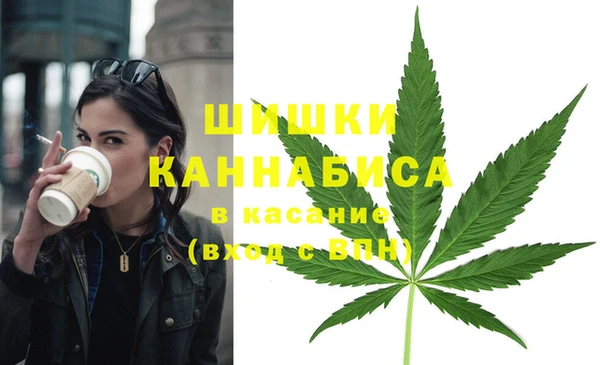 винт Алексин